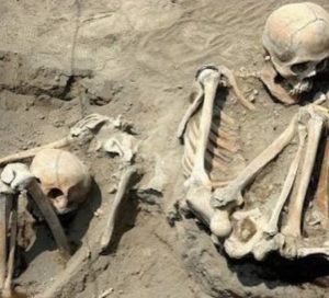 Skull Instagram_400x362