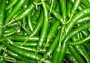 Green Chilly_500x349