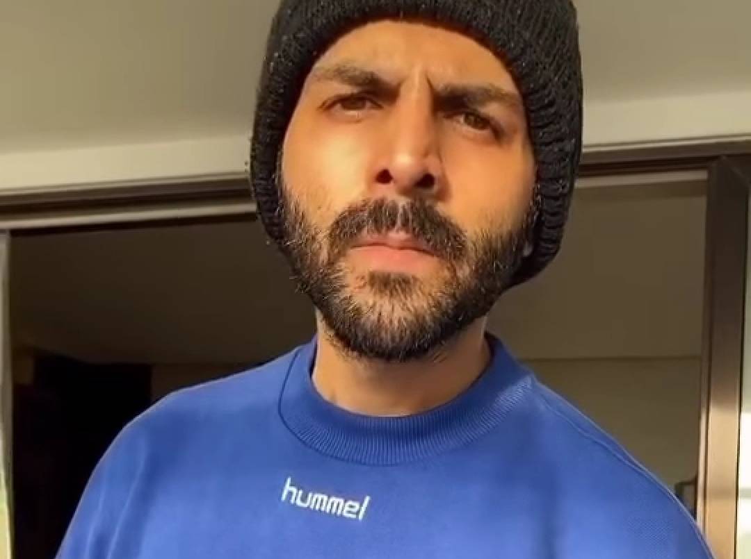 Kartik Aryan (Instagram)