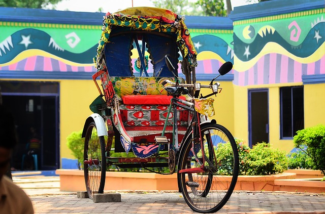 paddle rickshaw price