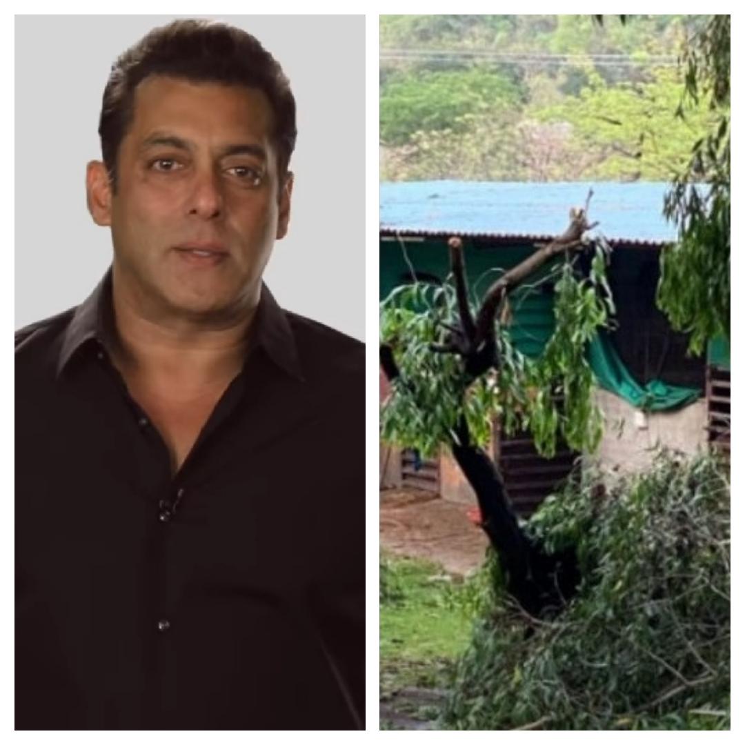 Salman Khan and his Panvel Farmhouse