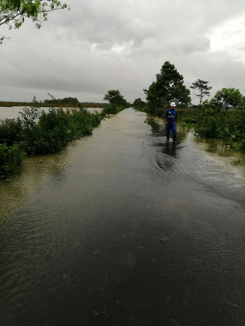 Flood situation in Assam further worsens, 4.63 lakh people hit