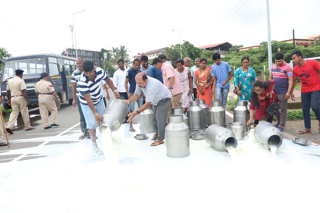 Maha farmers spill thousands of lts of milk on streets demanding an increase in milk procurement prices IANS Photo