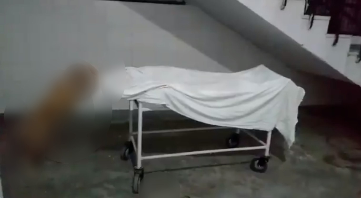 dog nibbles dead body imageedit_9_6756479876