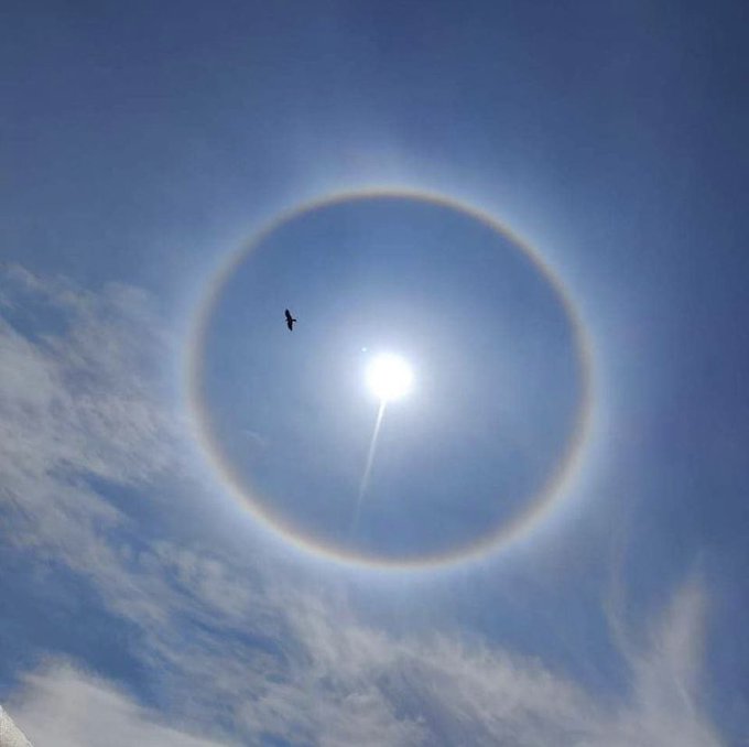 India Today - Bengaluru witnesses 22-degree 'Sun halo' A