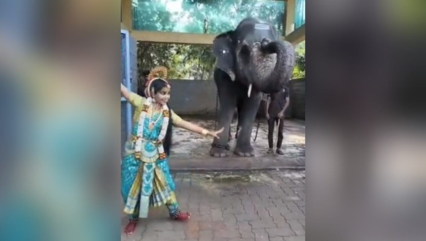 Anand Mahindra shares video of temple elephant 'Blessing' dancer in ...