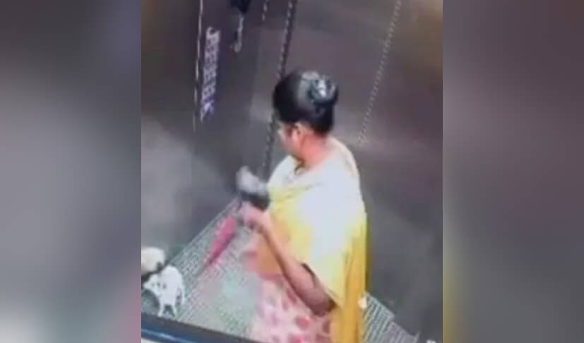 bengaluru puppy case 2 (1)