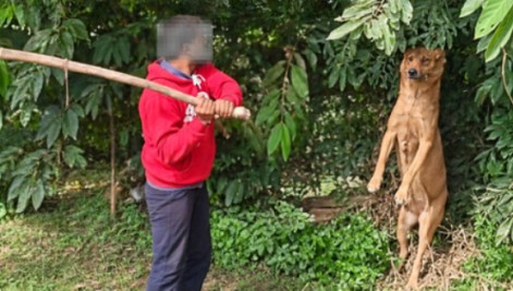 Bengaluru hanging dog MURDERD